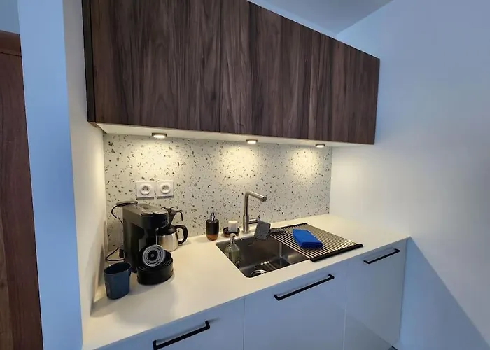 Plein Centre 公寓 圣布里文莱丝皮恩